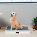 Baño inteligente para pet