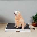 Baño inteligente para pet