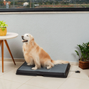 Baño inteligente para pet