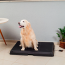 Baño inteligente para pet