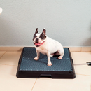 Baño inteligente para pet