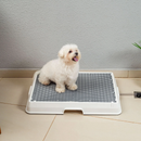Baño inteligente para pet
