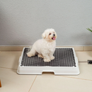 Baño inteligente para pet