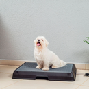 Baño inteligente para pet