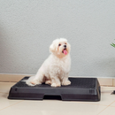 Baño inteligente para pet